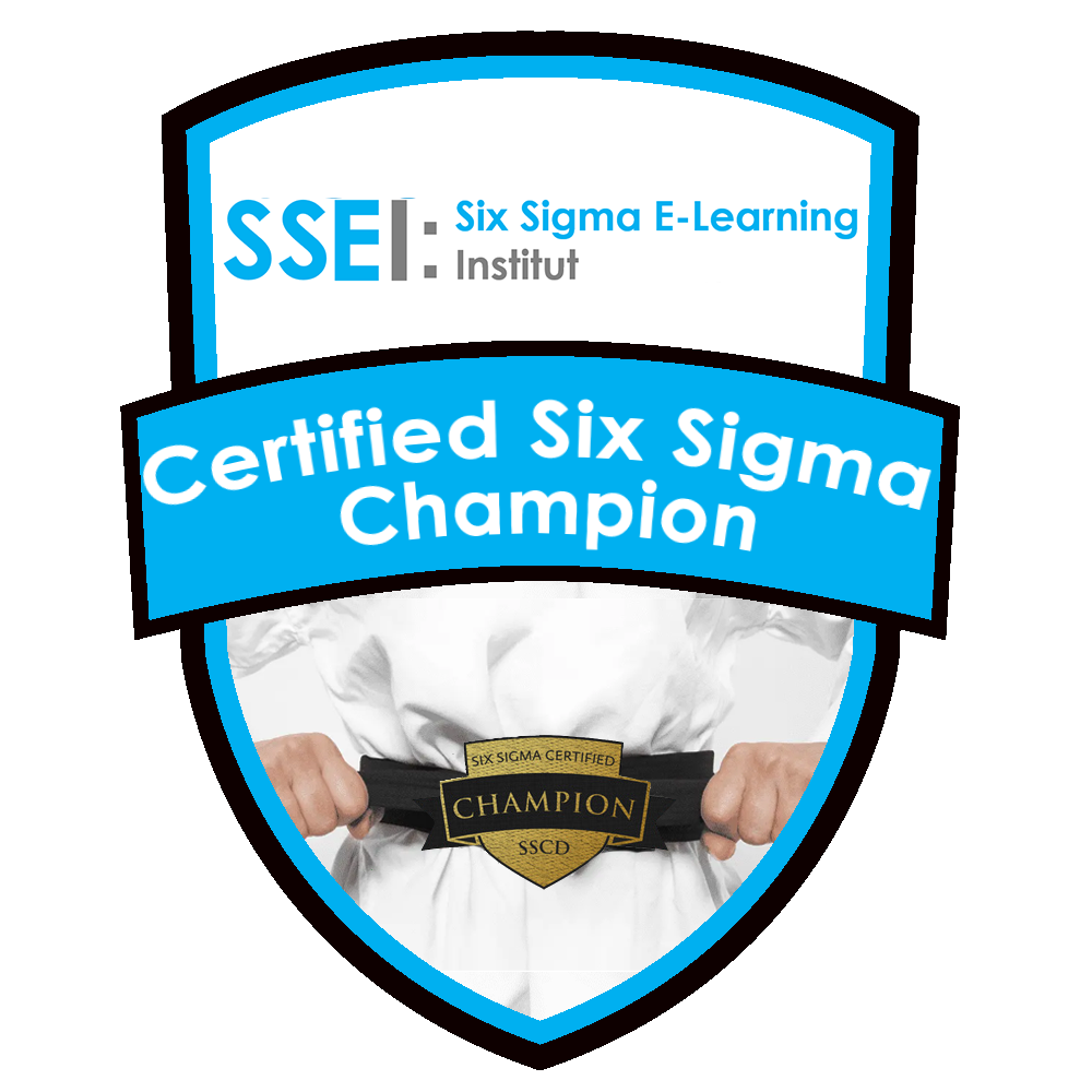 Six Sigma Champion Belt Badge
