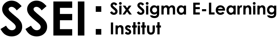 Logo des Six Sigma E-Leaning Instituts (SSEI)