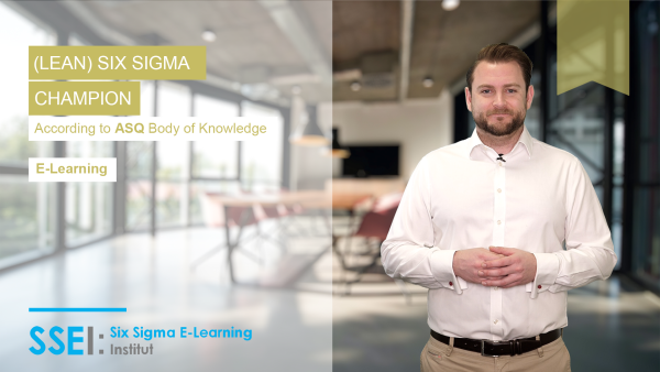 Lean Six Sigma Champion Belt Training