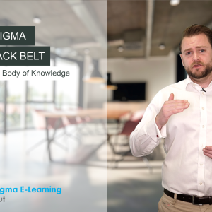 Lean Six Sigma Master Black Belt Training